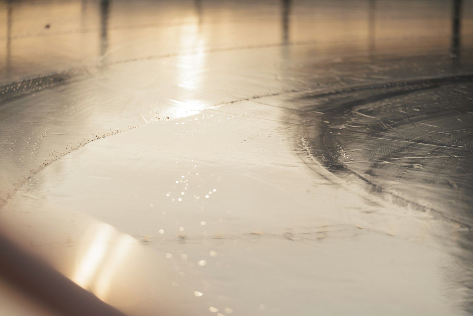 Drying Hardwood Floors After Water Damage