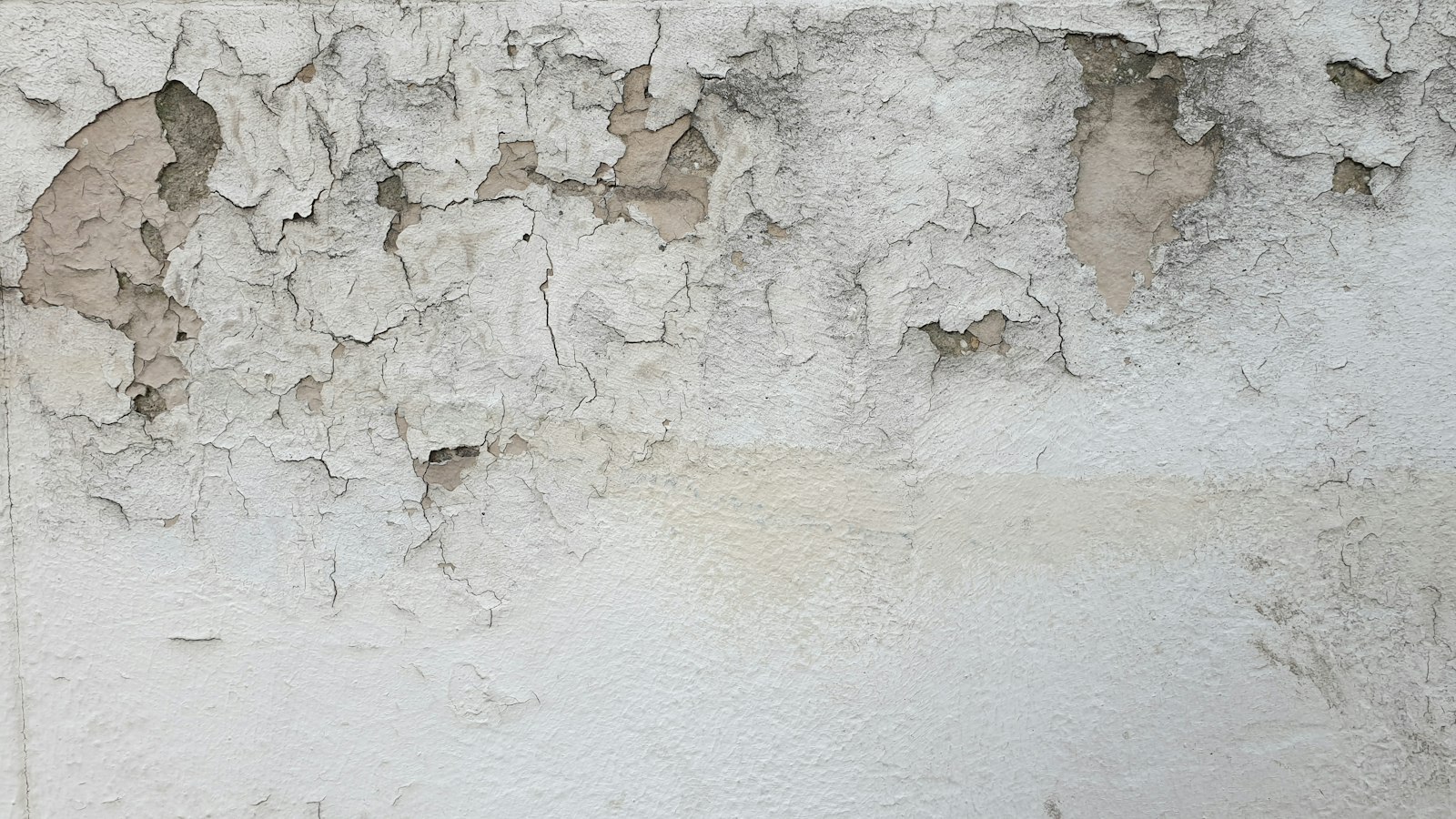 Repair & Restoration