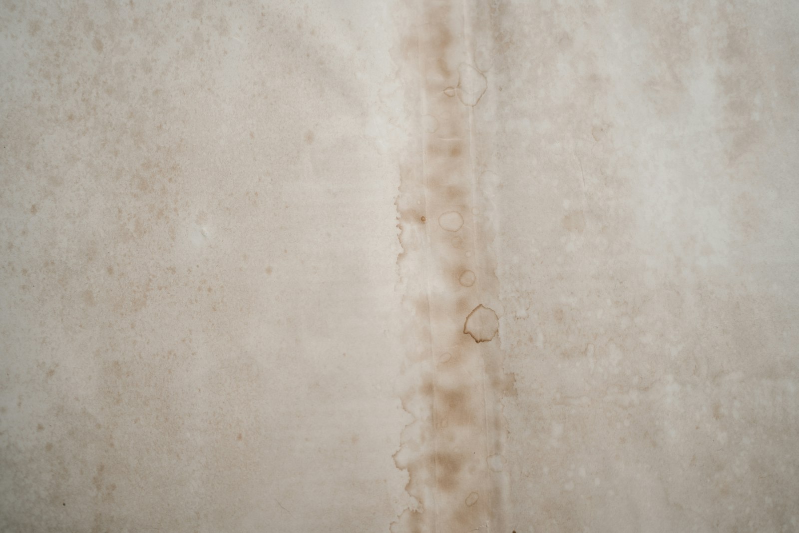 Moisture Detection & Inspection