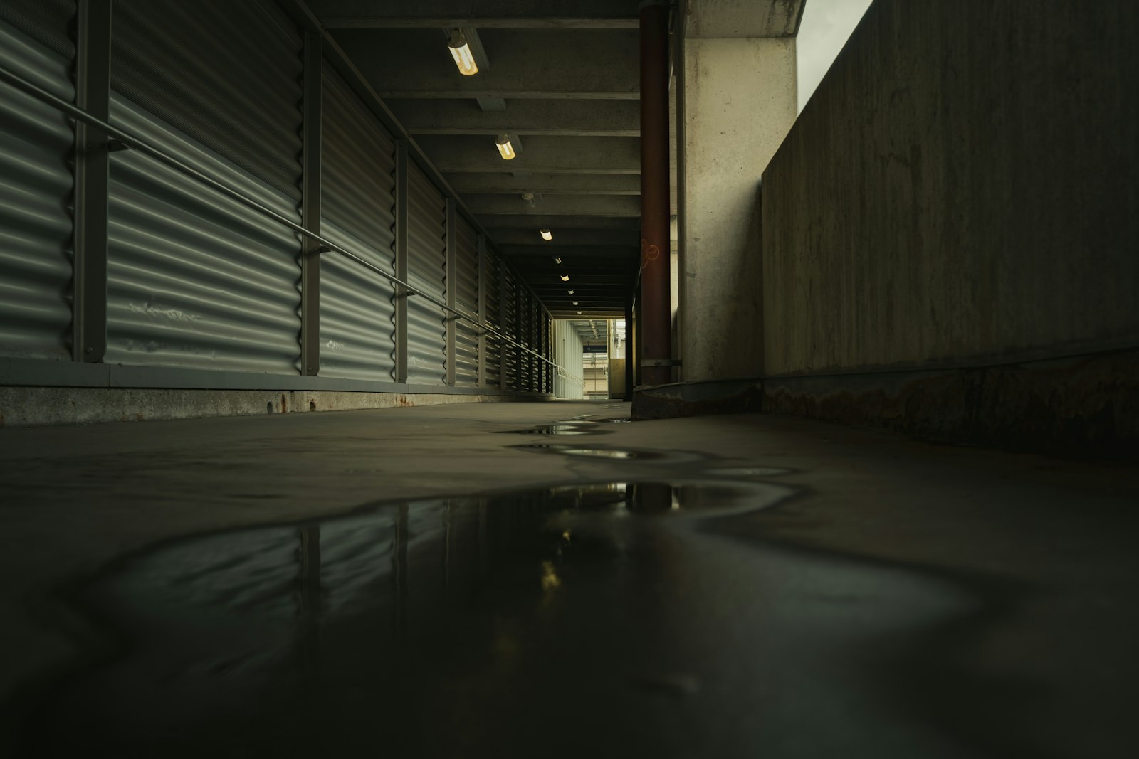 Sewage Backup Cleanup